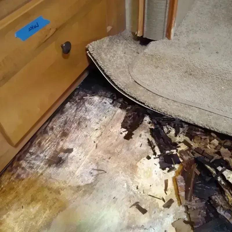 Best Wood Floor Water Damage Service in Wabash County, IL